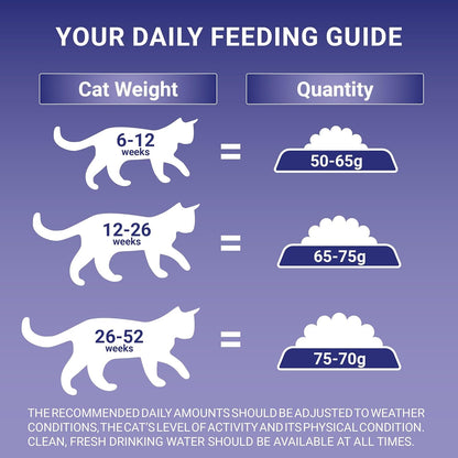 Kitten Food Chkn and W/Grain 2.8Kg