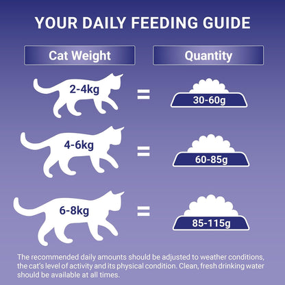 Chicken Dry Cat Food 6Kg
