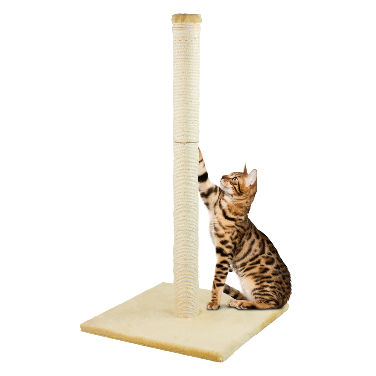 KCT LARGE CAT SCRATCHING BEIGE POST for INDOOR KITTEN SISAL SCRATCHER POLE 78CM