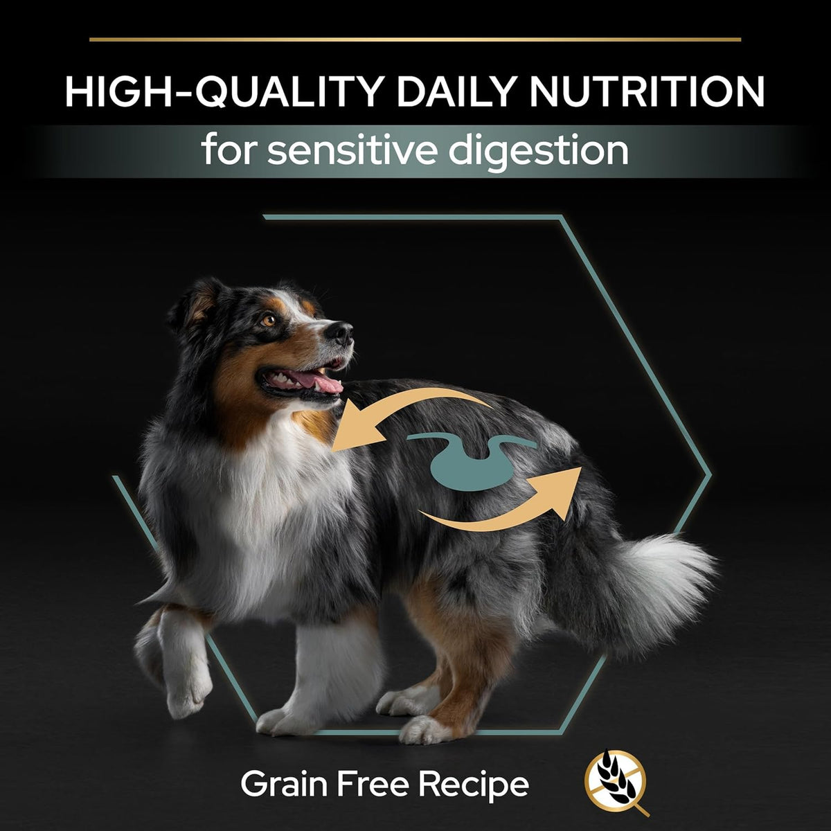 PRO PLAN Grain Free Medium & Large Adult Sensitive Digestion Turkey Dry Dog Food 12Kg
