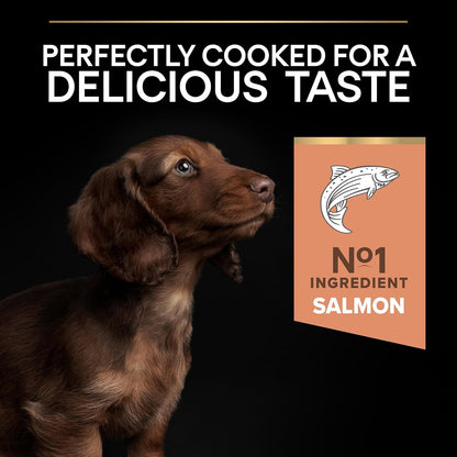 PRO PLAN Small & Mini Adult 1+ Sensitive Skin Salmon Dry Dog Food 3Kg