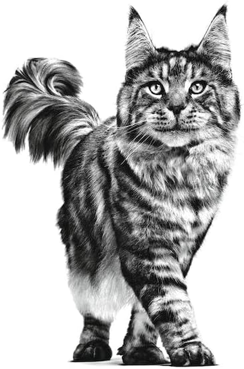 Renal Cat Food, 2 Kg