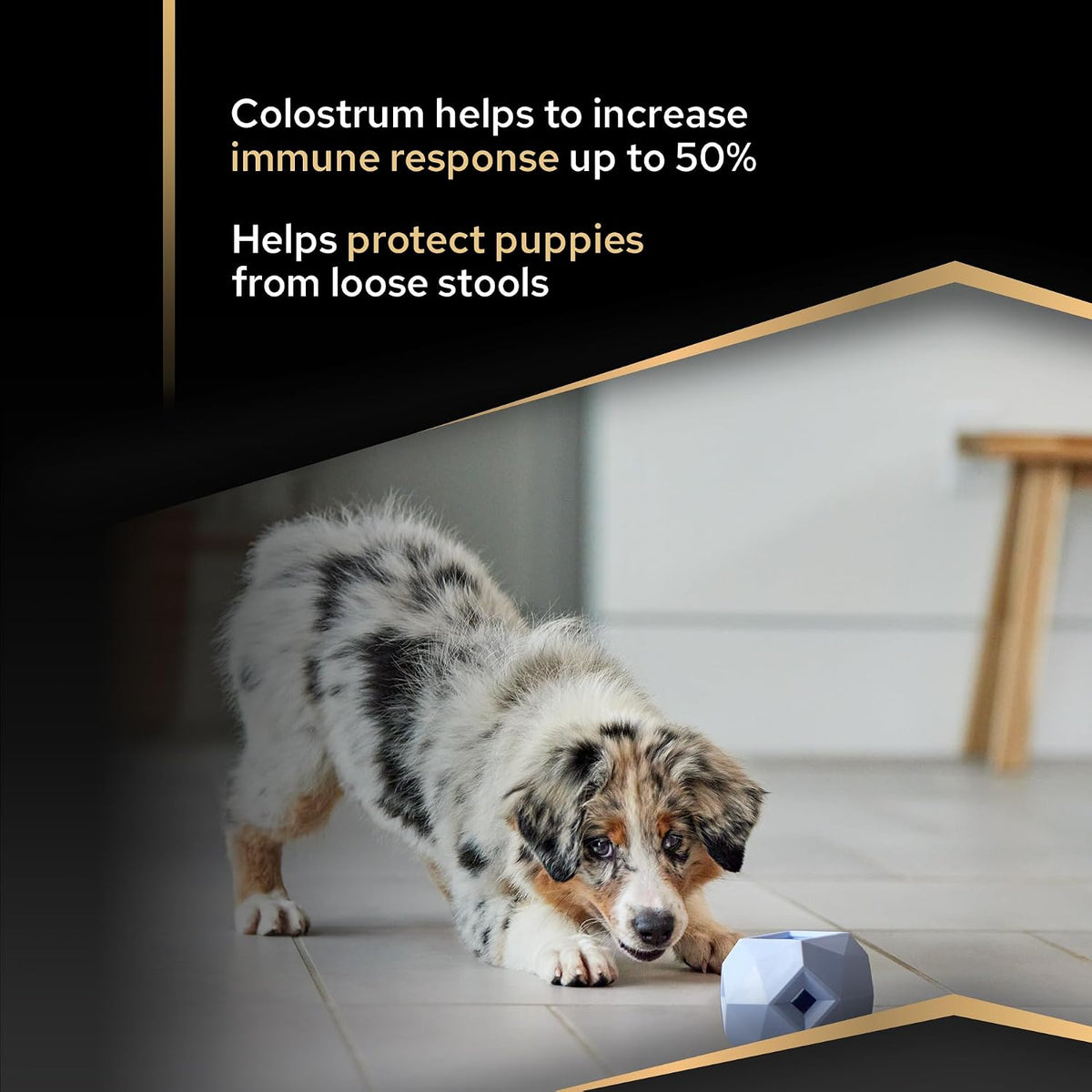 PRO PLAN Medium Puppy Healthy Start Chicken Dry Dog Food 12Kg