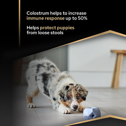 PRO PLAN Medium Puppy Healthy Start Chicken Dry Dog Food 12Kg