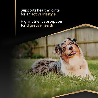 PRO PLAN Medium Adult Everyday Nutrition Chicken Dry Dog Food 14Kg