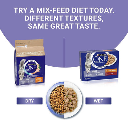 Adult Dry Cat Food Chicken & Wholegrains 800G