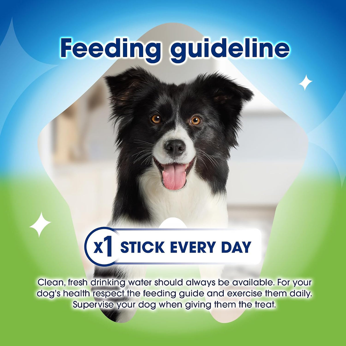 Activfresh Medium Dental Chicken Dog Chews 24 Sticks (Pack of 2)
