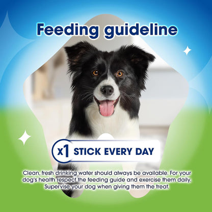 Activfresh Medium Dental Chicken Dog Chews 24 Sticks (Pack of 2)