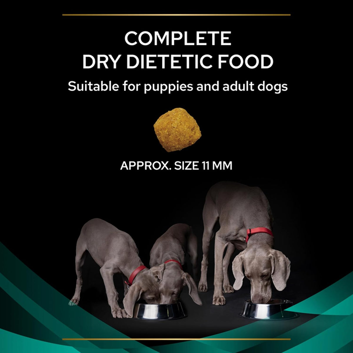 EN Gastrointestinal Dry Dog Food 5Kg