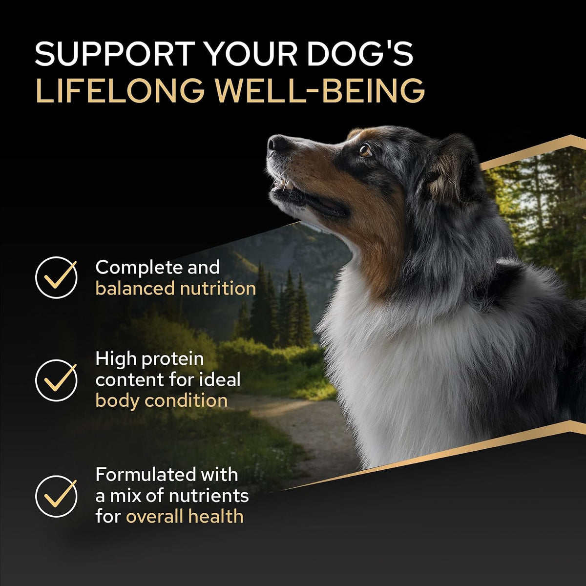 PRO PLAN Medium Adult Everyday Nutrition Chicken Dry Dog Food 14Kg