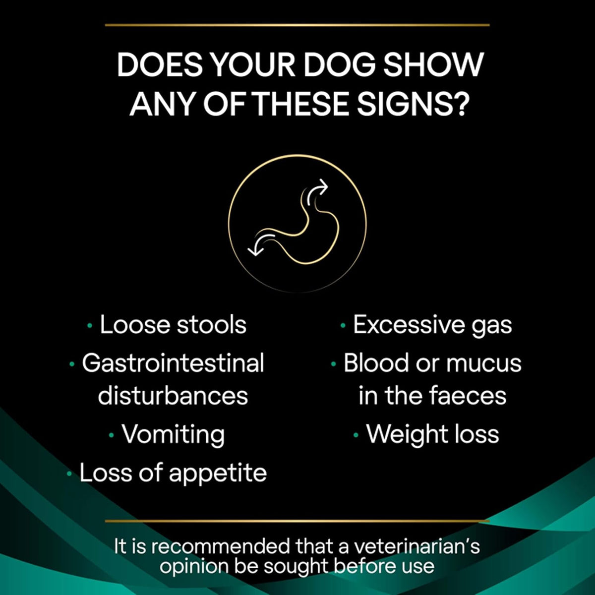 EN Gastrointestinal Dry Dog Food 5Kg