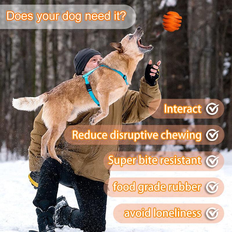 Indestructible Dog Toys Dog Chew Toy Treat Dispenser Interactive Pet Orange Toy