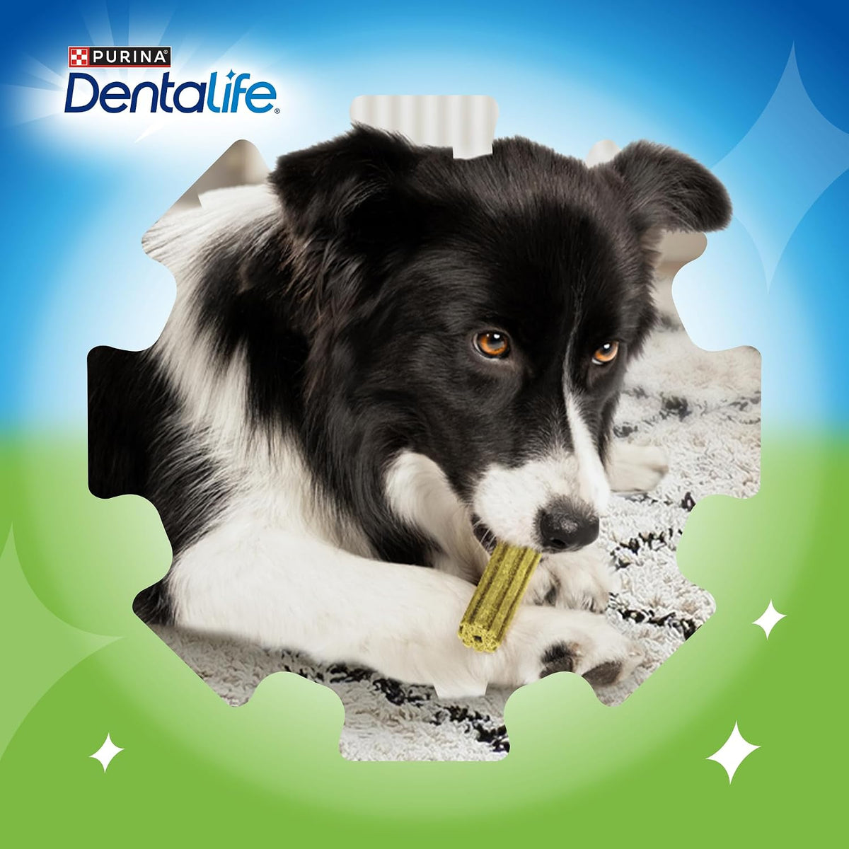 Activfresh Medium Dental Chicken Dog Chews 24 Sticks (Pack of 2)