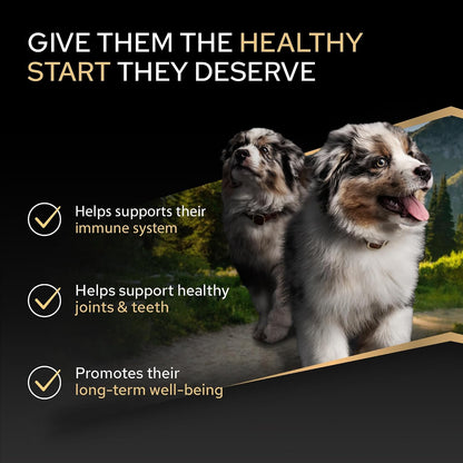 PRO PLAN Medium Puppy Healthy Start Chicken Dry Dog Food 12Kg