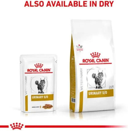 ROYAL CANIN Veterinary Health Nutrition Urinary S/O Wet Cat Food with Morsels in Gravy - 48 X 85G Pouches