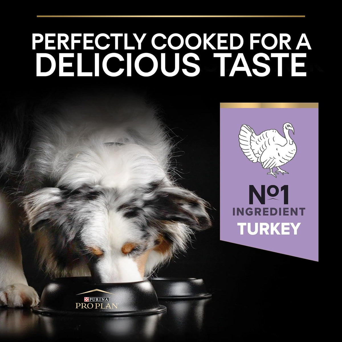 PRO PLAN Grain Free Medium & Large Adult Sensitive Digestion Turkey Dry Dog Food 12Kg